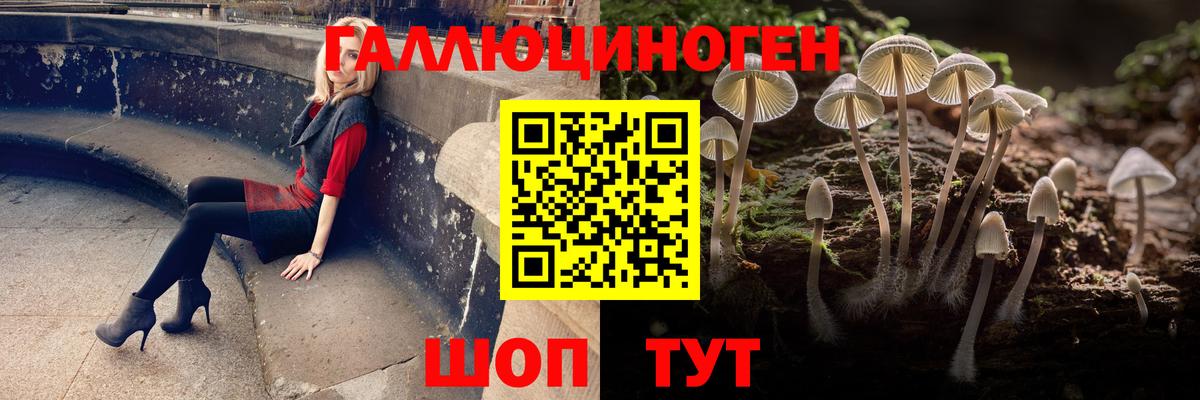 Галлюциногенные грибы Psilocybine cubensis Семёнов