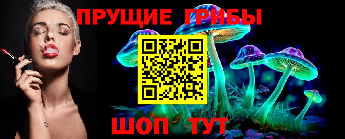 Семёнов  Галлюциногенные грибы Psilocybine cubensis  Вход с VPN  Галлюциногенные грибы GOLDEN TEACHER 